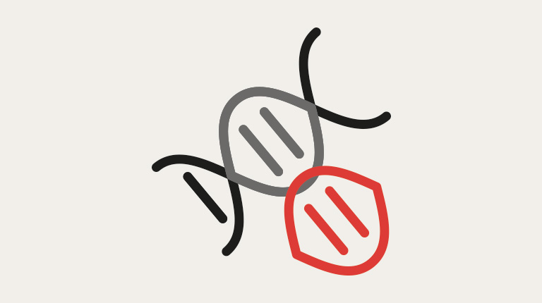 det fungerende gen indsættes i målcellen side om side