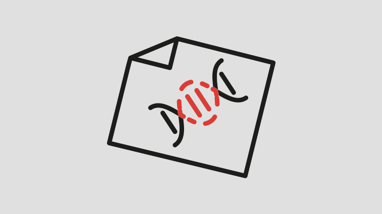 For hæmofili B tilføjer genterapi en fungerende kopi af FIX kodningssekvensen,