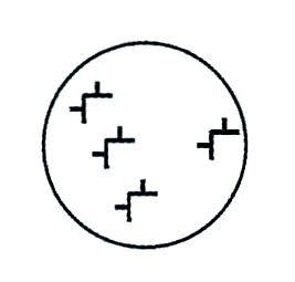 Onormal von